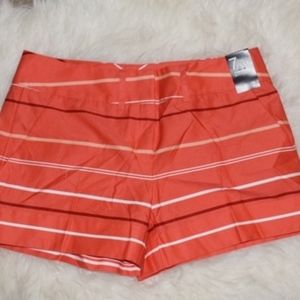7th Avenue Shorts